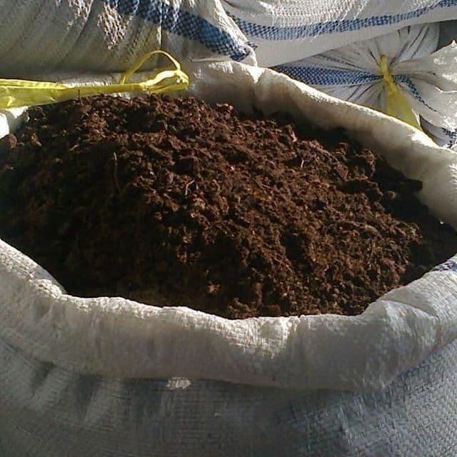 Биогомус элагланган — 2