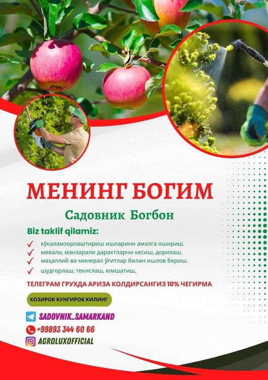 Bio gumus  hosildorligingiz garovi — 3