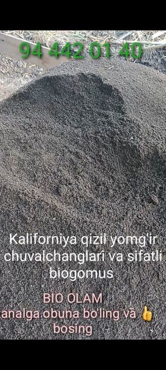Sifatli biogomus mahsulotlari — 4