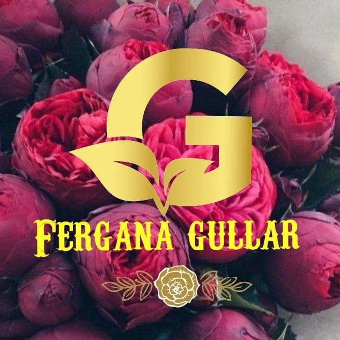 Atrgul kochatlar — 1