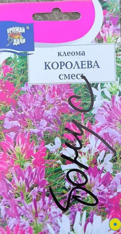 Зур уруглар келтирилган скидкада — 8