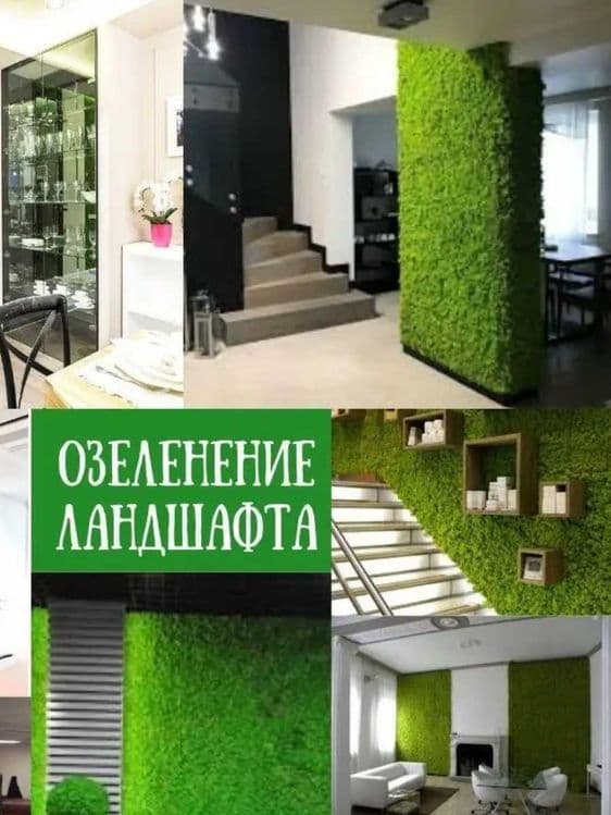 Самшитовый коврик Искусственная трава на стене - Фито стена 60х40см — 1