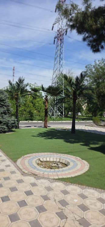 Suniy palmalar GREEN African Palma Parkdan — 2