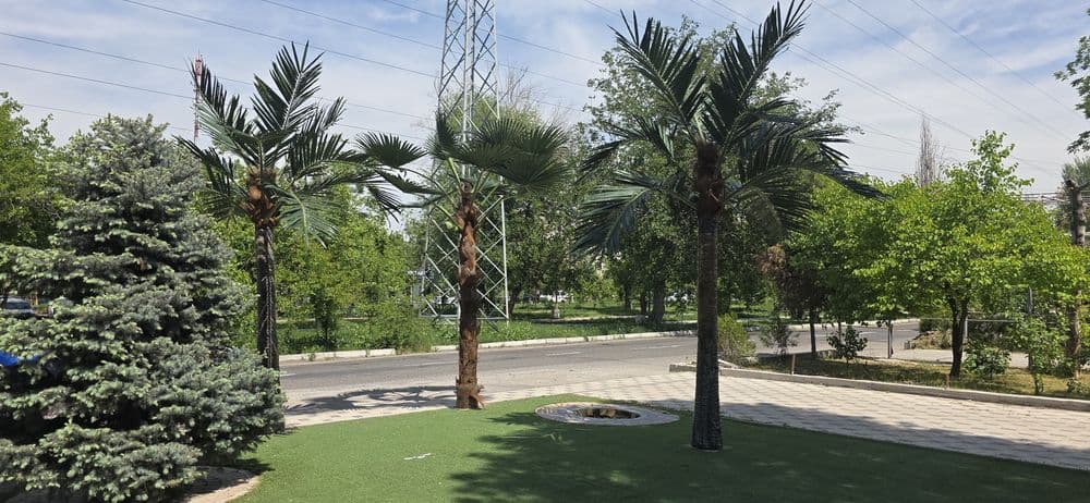 Suniy palmalar GREEN African Palma Parkdan — 5
