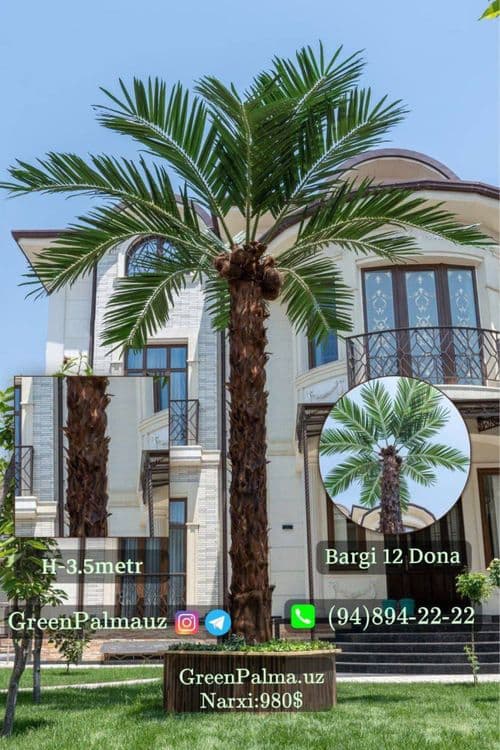 Искусственные пальмы GreenPalma | Премиум декор — 8