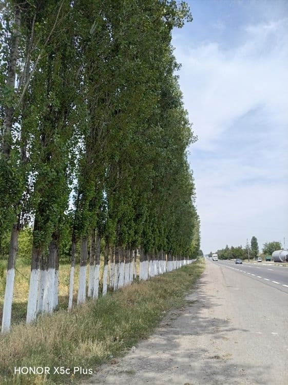 Teraklar sotiladi — 2