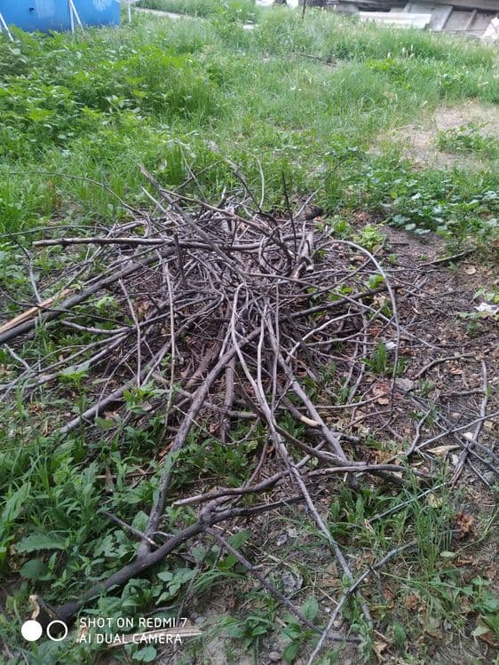 Продам дрова разные цена договорная — 2