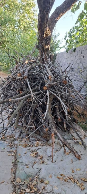 Дрова фруктовых деревьев , продам , — 4