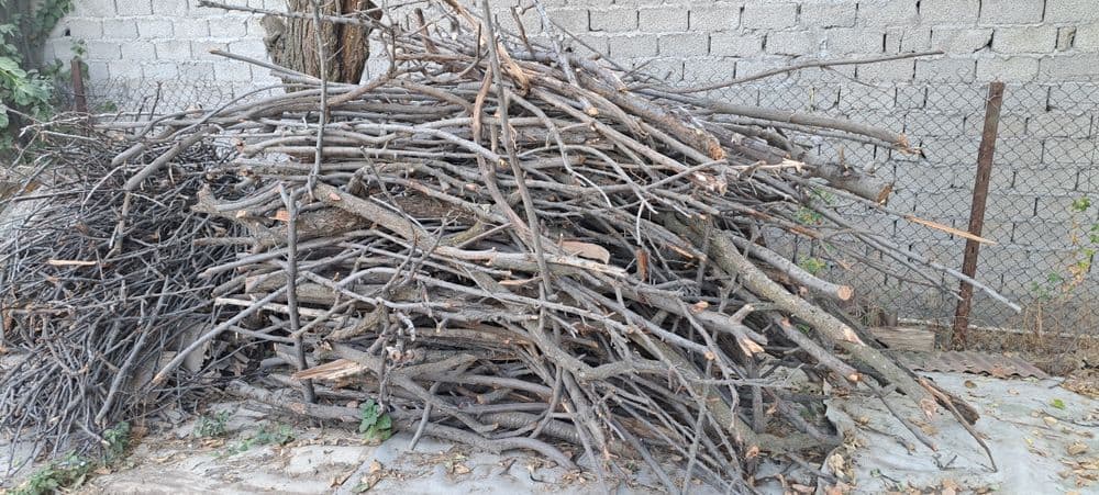 Дрова фруктовых деревьев , продам , — 5