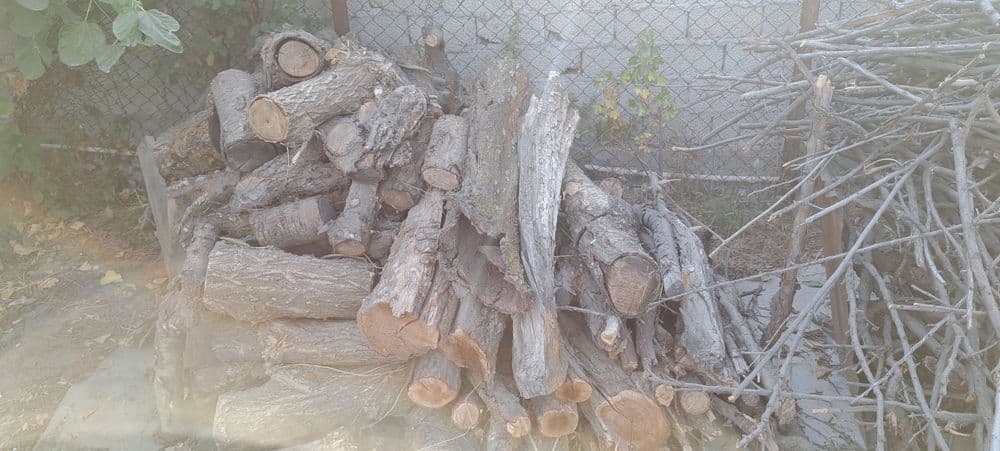 Дрова фруктовых деревьев , продам , — 6