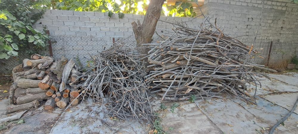 Дрова фруктовых деревьев , продам , — 8