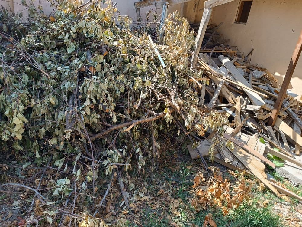 Продается дрова из фруктовых деревьев — 2