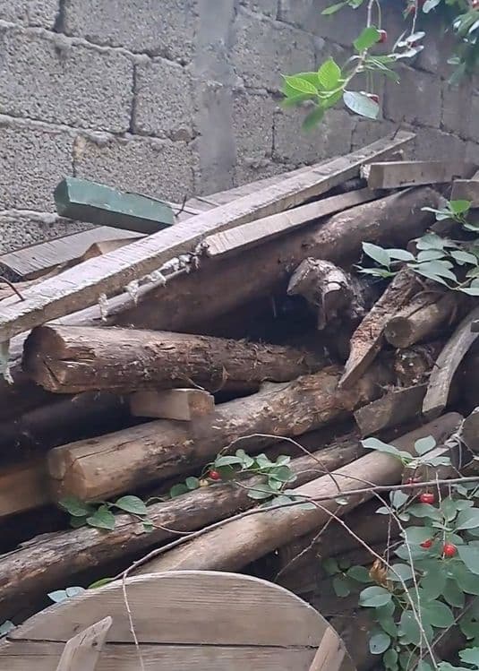 У́тин, ёгочлар -Дрова самовывоз — 2