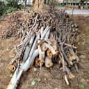 Дрова Ўтин O'tin