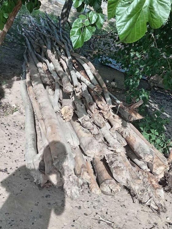 Отын,  отын курак, дрова otin kurak — 7