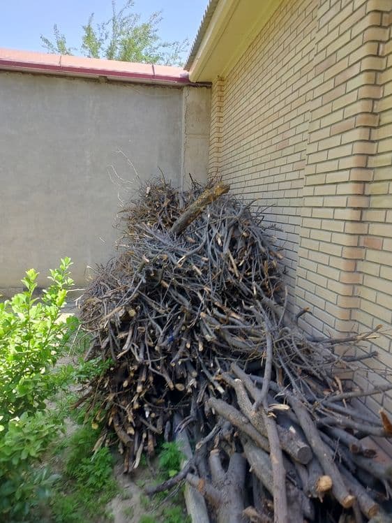 Дрова от фруктовых деревьев — 4