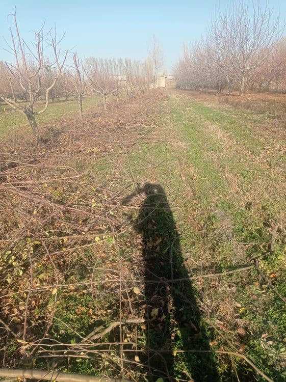 Utin Mevali Tandir uchun — 3