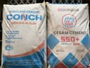 Conch цемент sement cement доставка текин