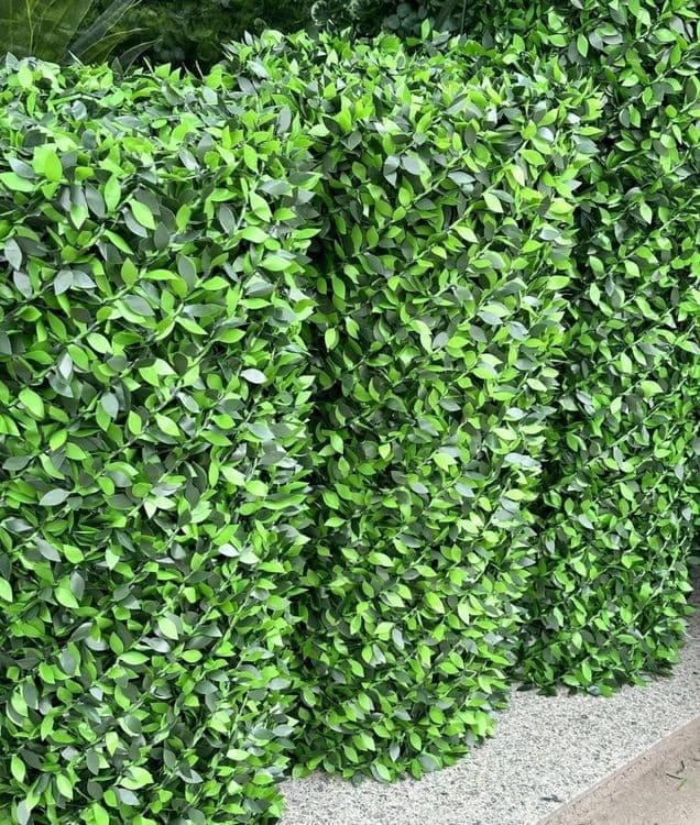 Bargli ekozabor eko zabor Екозабор баргли сетка оптом нархда еврозабор — 1