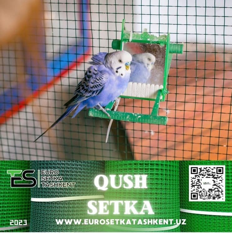 Qushlar uchun qush setka rulon setka yevrozabor evrozabor evro setka — 2