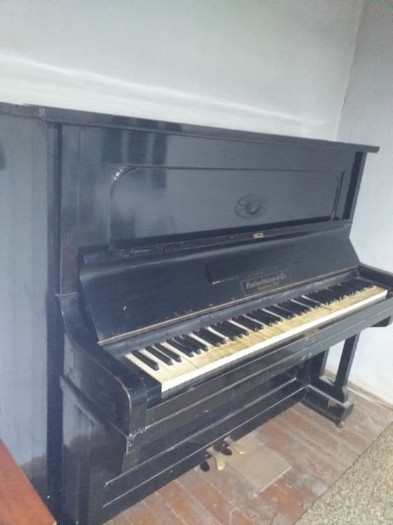Muzikaniy piyanina — 4