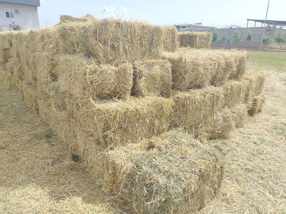 O't press sotiladi — 4