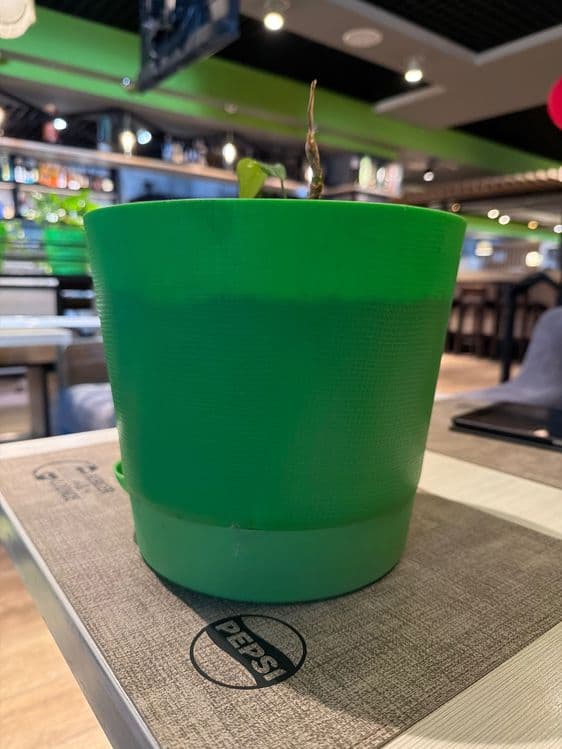 Горшки для цветов — 1