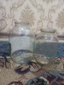 Bonka 2/3 L-Банка 2/3 Л