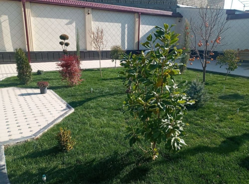 rulon gazon gazon ekish xizmati — 3