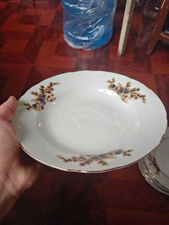 Японская посуда рисунок Шишки — 6