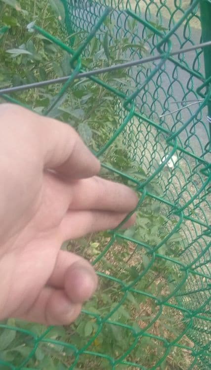 Yashil setka stadion va bog'lar uchun ograjdeniya stal va otsinkovka — 2