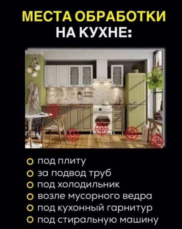 Тиурам кабельный порошок средство от тараканов  клопов крыс мышей — 4