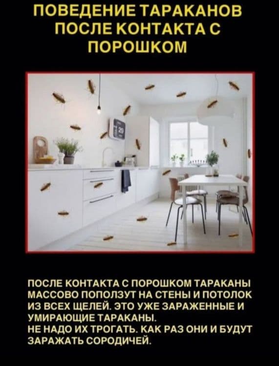 Тиурам кабельный порошок средство от тараканов  клопов крыс мышей — 5