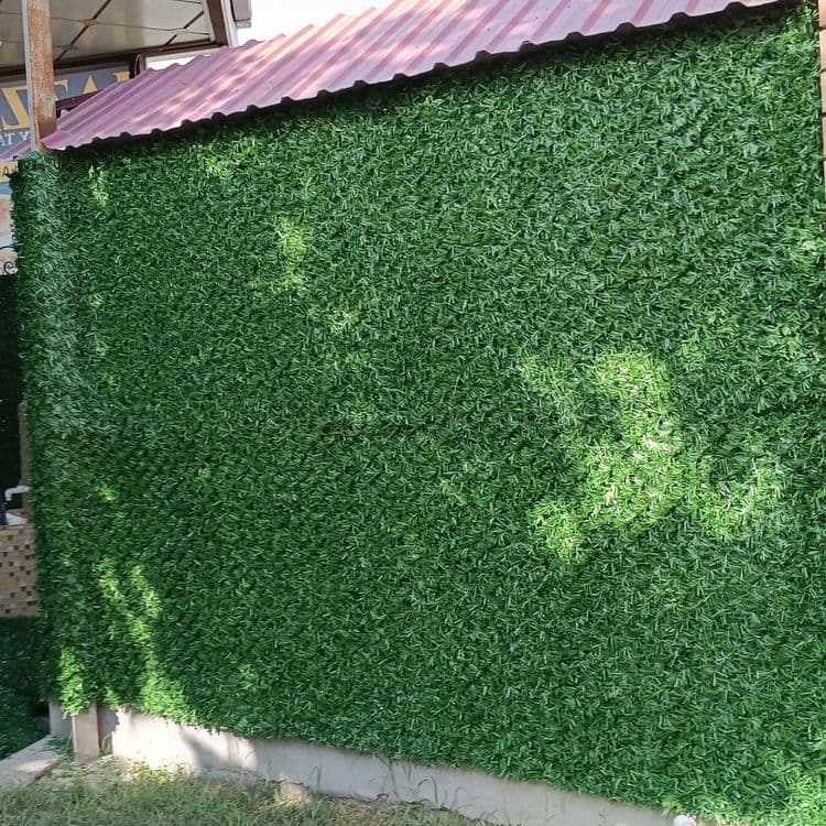 Suniyzabor #green — 2
