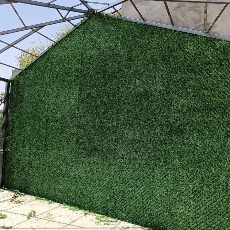 Suniyzabor #green — 5