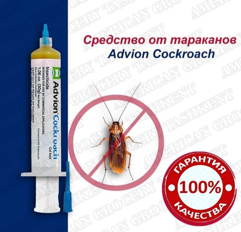 Таракан дори шприст — 2