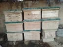Asalari yashiklari sotiladi narxi 250000 kelshiladi koʻproq olinsa 200