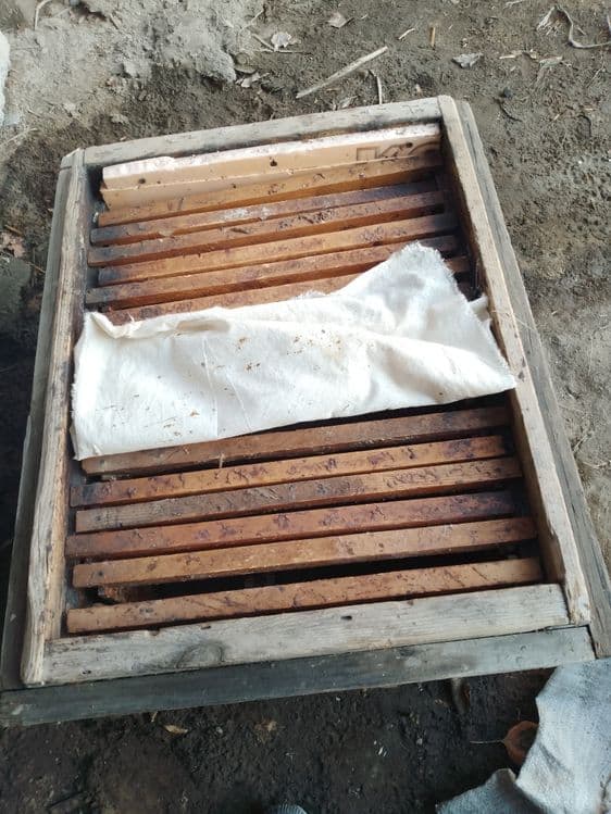 Asalari yashiklari sotiladi narxi 250000 kelshiladi koʻproq olinsa 200 — 7