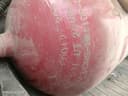 gaz balon temir 80 talik