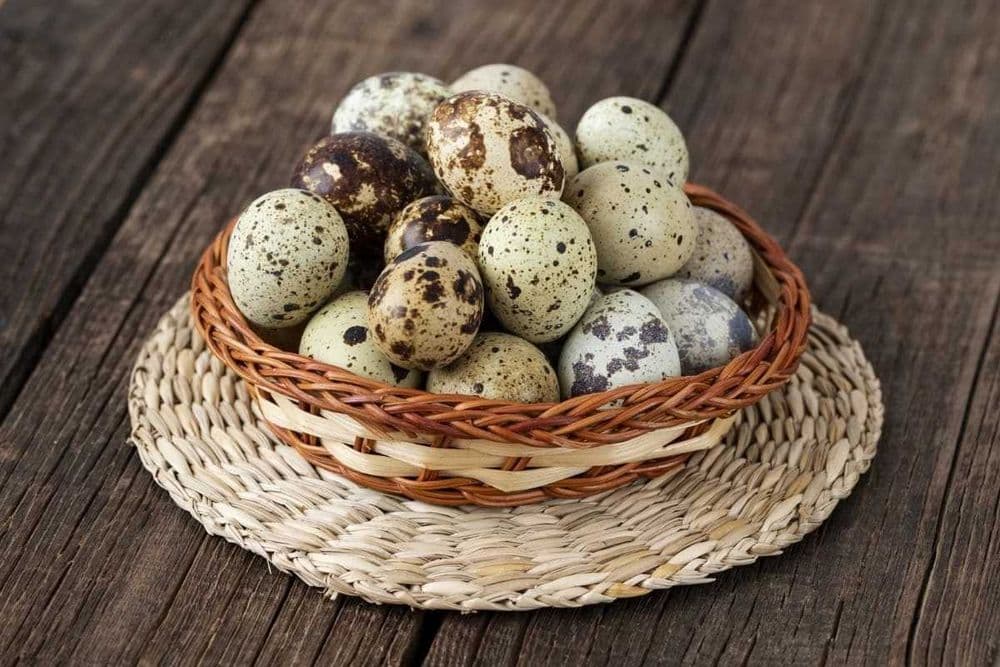 Bedana tuxum Домашние свежие перепелиные яйца Натуральный вкус и полза — 1