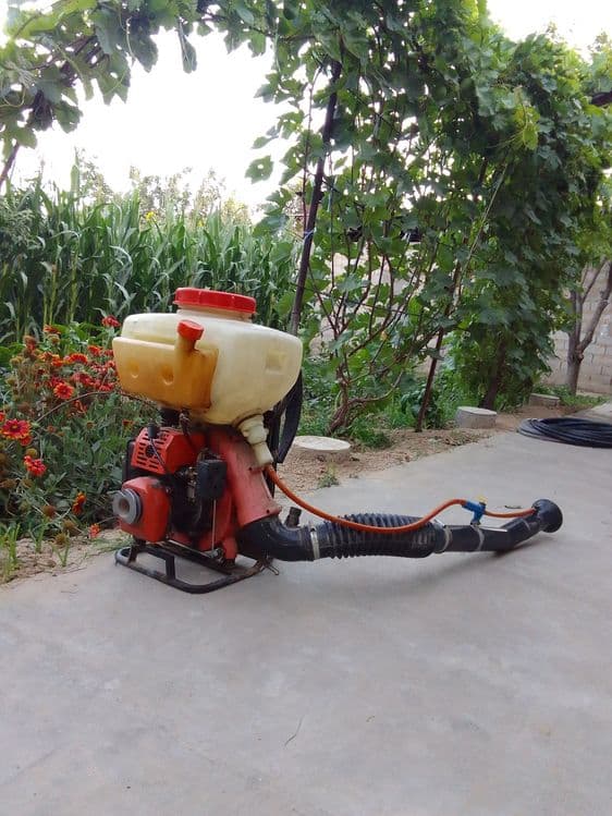 Dori  Sepadigan Aparat — 2