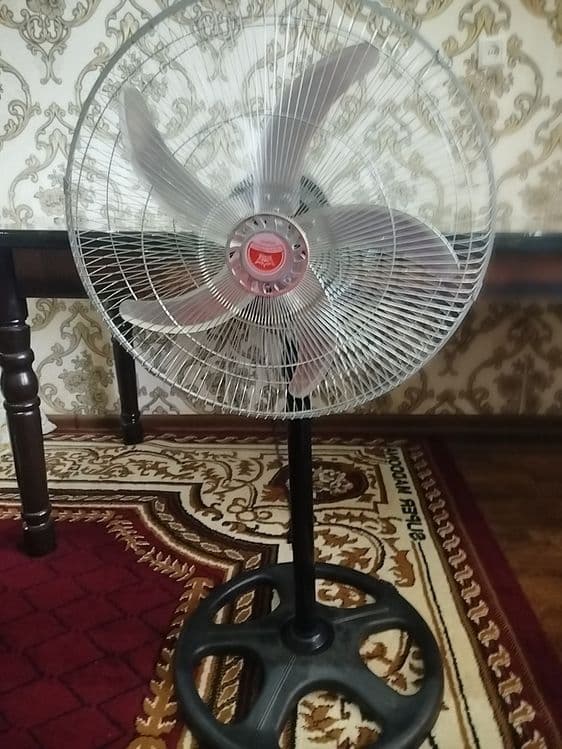 Ventilyator yangi olilar 100 ming atiga bunaqa narx hech kimda yoʻq — 1