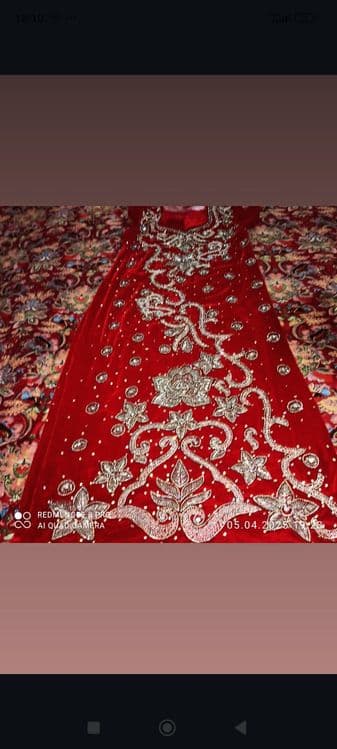 Toshli koylak qizil — 1