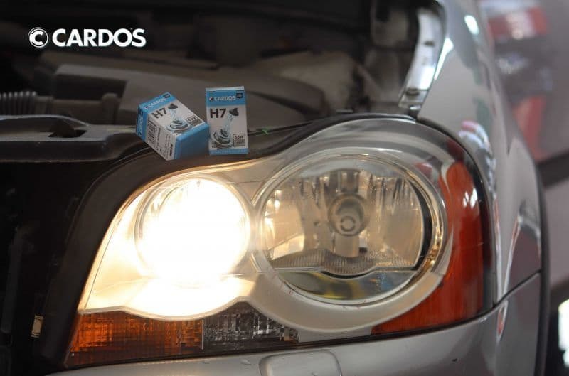 Лампы галогеновые автомобильные CARDOS H4 & H7 усиленные — 3