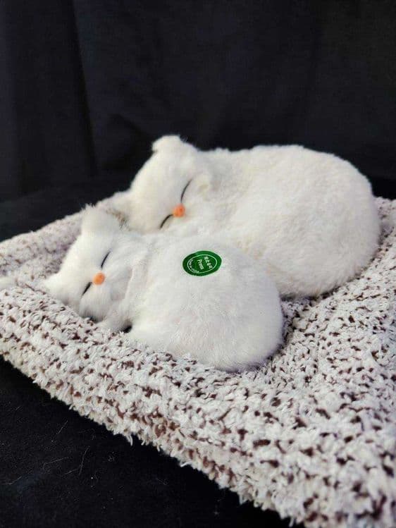 Аксессуары для авто Спящий Котик на Подушке — 2