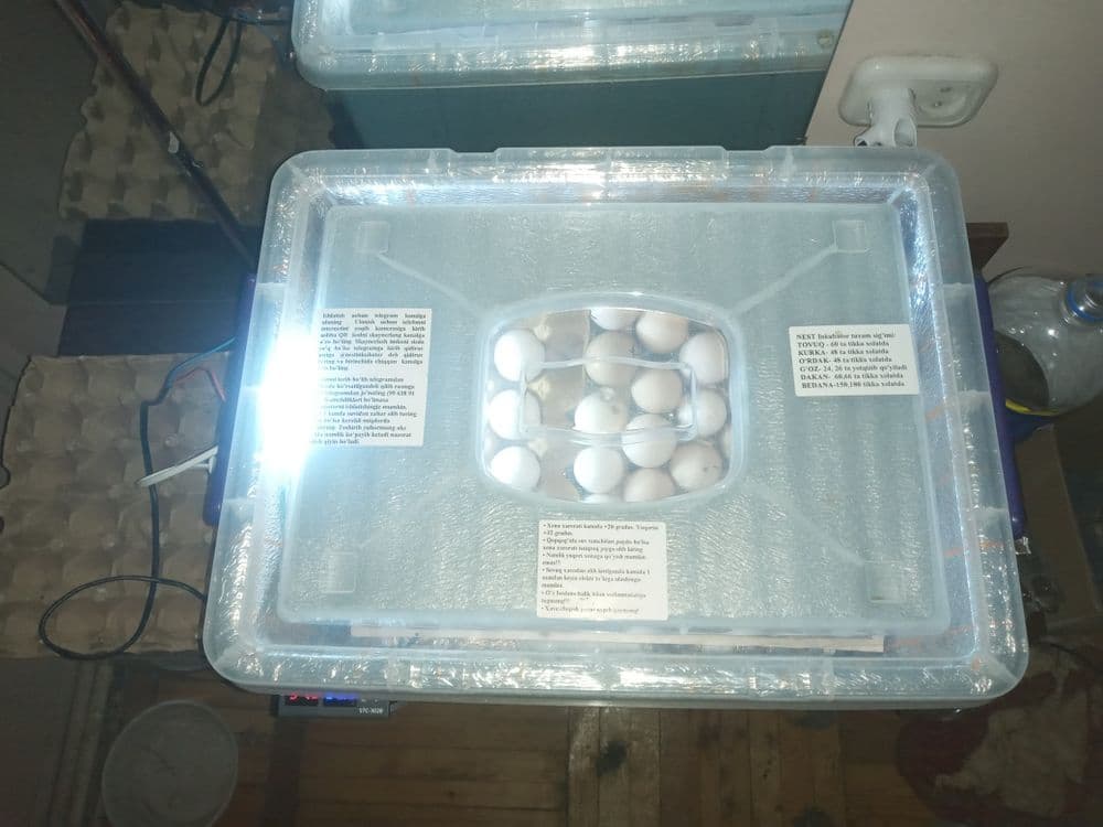 Nest incubator инкубатор автомат 60та тухумга мулчаланган Энди 2-марта — 5