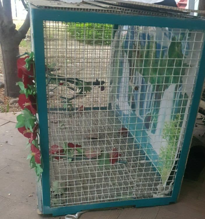 Qush uychasi 100 sm 50 sm — 4