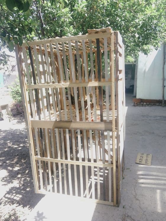 Tavuq xórozlarga kataklar sotiladi — 2