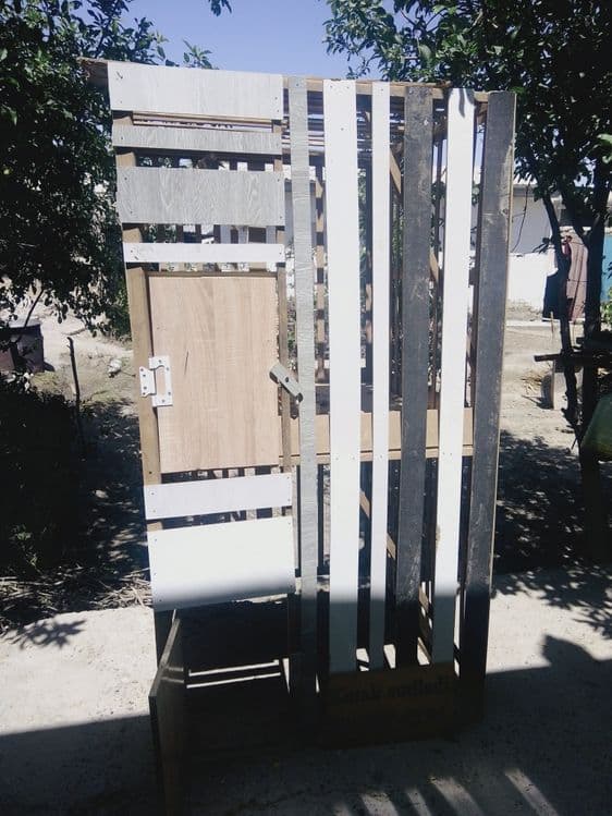 Tavuq xórozlarga kataklar sotiladi — 3