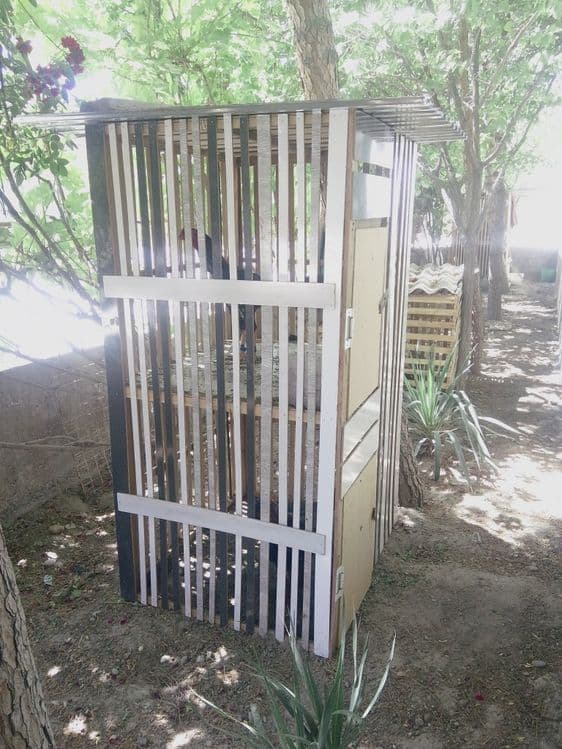 Tavuq xórozlarga kataklar sotiladi — 5
